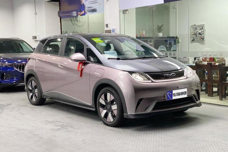 BYD Dolphin 401KM